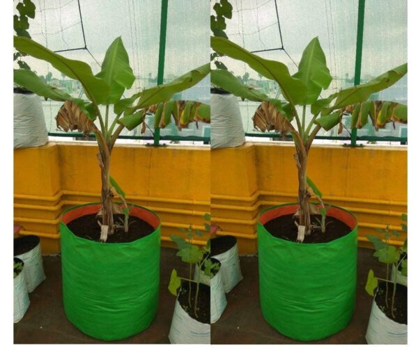 GROW BAG 18X12 INCH / 240 GSM/PACK OF 1 PIC
