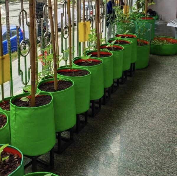 GROW BAG 15X15 INCH / 240 GSM/PACK OF 1 PIC - Image 4
