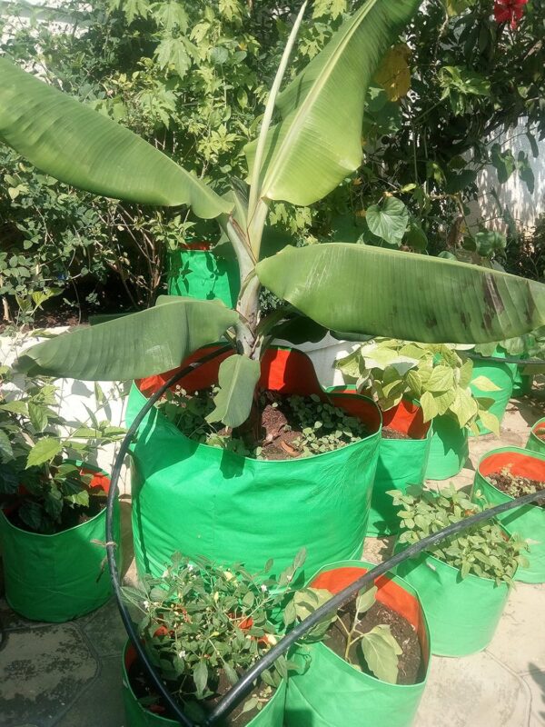 GROW BAG 24X24 INCH / 240 GSM/PACK OF 1 PIC - Image 4