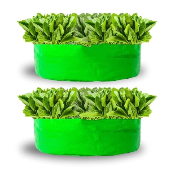 GROW BAG 24X6 INCH / 240 GSM/PACK OF 1 PIC - Image 3