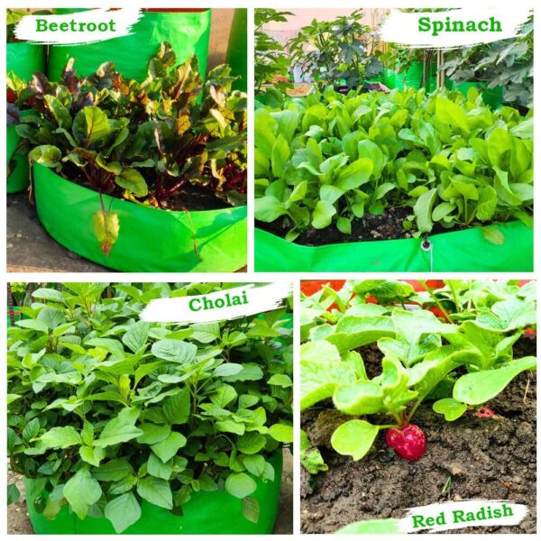 GROW BAG 24X6 INCH / 240 GSM/PACK OF 1 PIC - Image 7