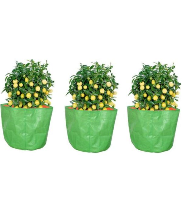 GROW BAG 9×9 INCH / 240 GSM/PACK OF 1 PIC - Image 3